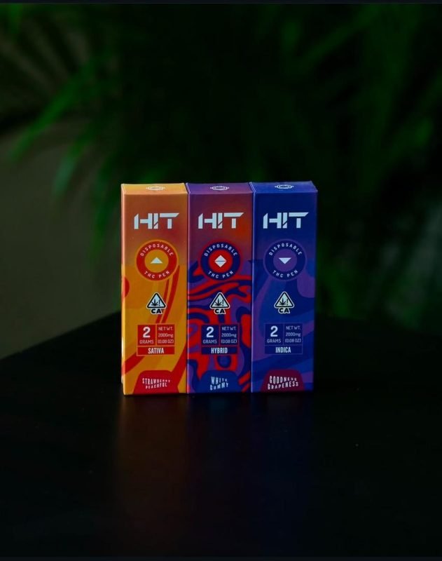 High in Thought Disposable Vape